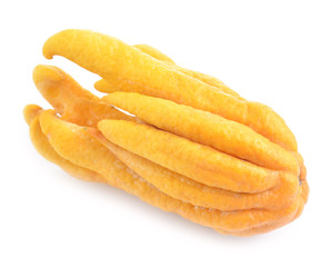 fragrant Buddha's hand or fingered citron fruit, Citrus medica i