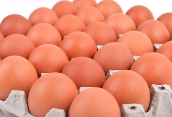 eggs in paper tray