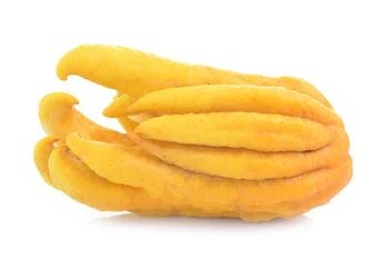 Poster fragrant Buddha's hand or fingered citron fruit, Citrus medica © rprongjai