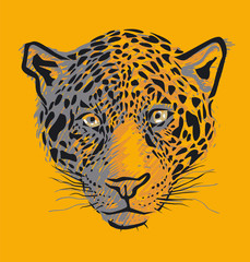 Leopard vector illustration