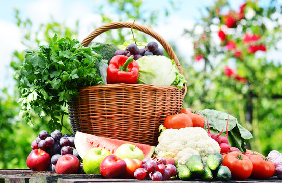 Fototapeta Fresh organic vegetables in wicker basket in the garden