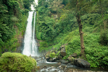 Waterfall in Bali jungle