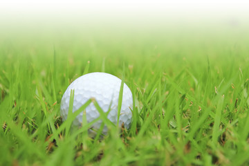 Golf club and ball in grass