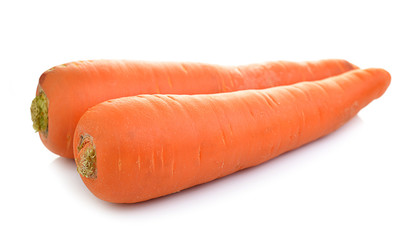 Carrot isolate on white background
