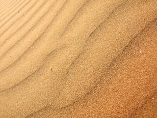 Fototapeta na wymiar Sand dune background