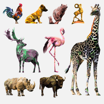 vector_animals