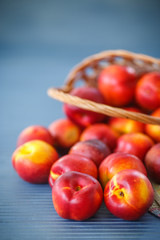 nectarines