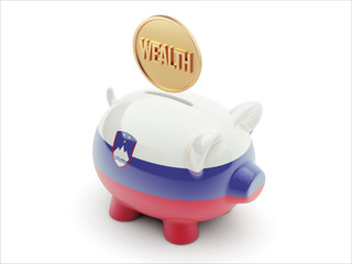 Slovenia Wealth Concept Piggy Concept