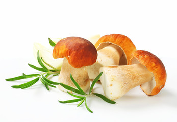 Fresh porcini mushrooms - obrazy, fototapety, plakaty