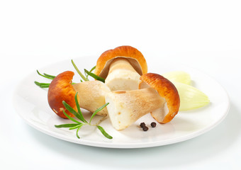 Fresh porcini mushrooms