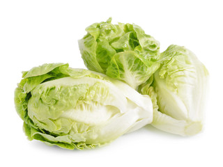 Tasty Chinese cabbage isolated on white background