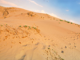 Fototapeta na wymiar Beautiful sand dunes in the Sahara desert, Tunisia