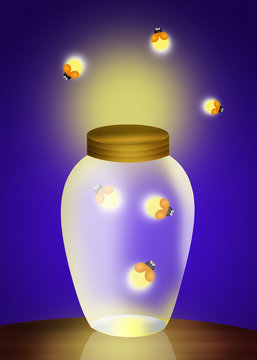 fireflies in the jar