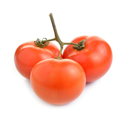 tomatoes isolate on white background
