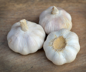 Garlic  on the wooden table