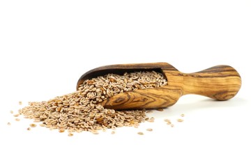Flohsamen mit einer Schippe aus Olivenholz isoliert auf weißem Hintergrund