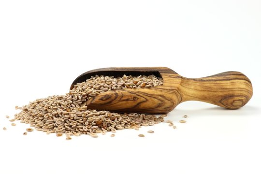 Flohsamen mit einer Schippe aus Olivenholz isoliert auf wei&szlig;em Hintergrund