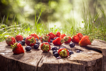 Blueberry and strawberries on wood in nature