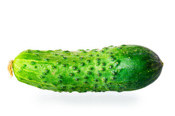 one juicy green cucumber on white background macro