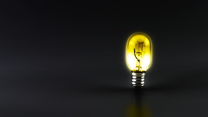 Shiny light bulb on black background,leave space for text conten