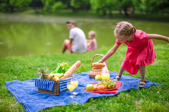 Adorable little girl have fun on picnic