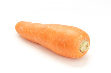Carrot