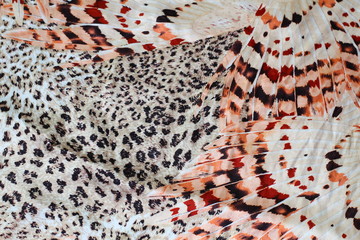 Leopard fabric pattern,silk fabric - 66574036