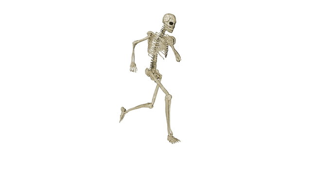 Skeleton running morphing into Human, white