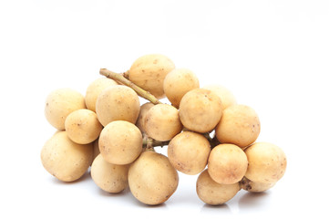 Wollongong isolated on white