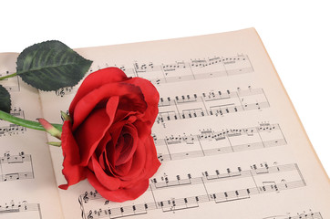 The rose on notebooks with notes