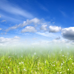 Fototapeta na wymiar Grass and blue sky