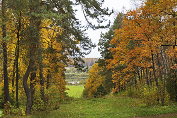 Fototapeta premium ллея в Поленово. Тульская область. Россия
