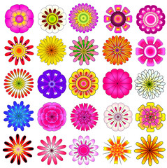 colorful flower vector set - 66576613