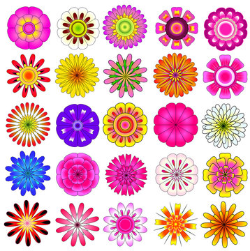 colorful flower vector set