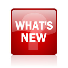 new computer icon on white background