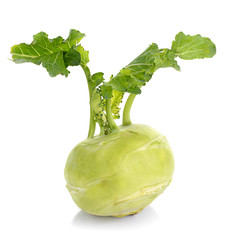 German turnips over white background