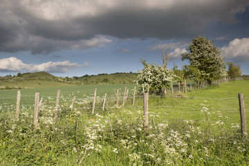 Fototapeta na wymiar english countryside in the chiltern valley
