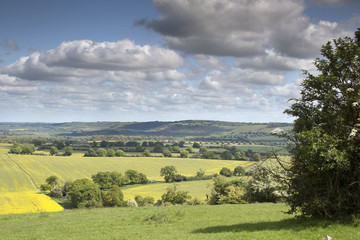 english countryside in the chiltern valley