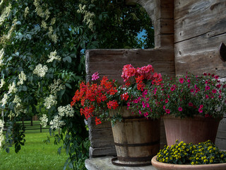 Cabin summer setting in the mountains