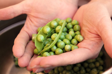 peas in hands