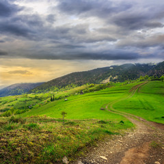 path on hillside meadow in mountain