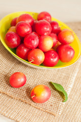 Fototapeta na wymiar cherry-plums