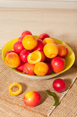 Fototapeta na wymiar cherry-plums and apricots