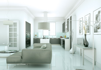 modern Apartment Interior Design