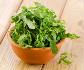 Fresh arugula salad