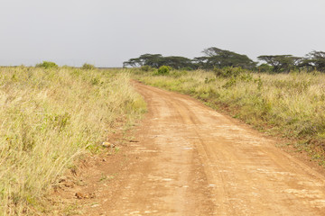 Fototapeta na wymiar Nairobi National Park Road