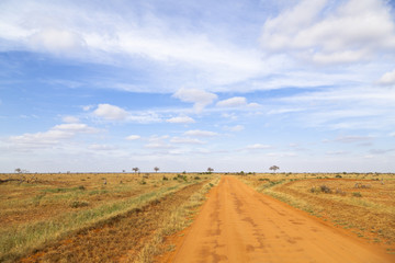 Fototapeta na wymiar Tsavo East National Park, Kenya