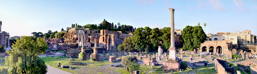 Fototapeta na wymiar The Roman Forum in the early morning, Rome