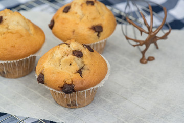 Tasty home made muffins with whisk covered in melting chocolate