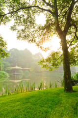 park in the morning, the sun rises behind the trees